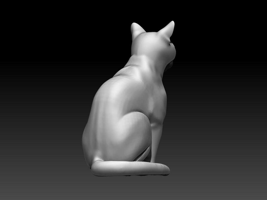 cats — thumbnail 14