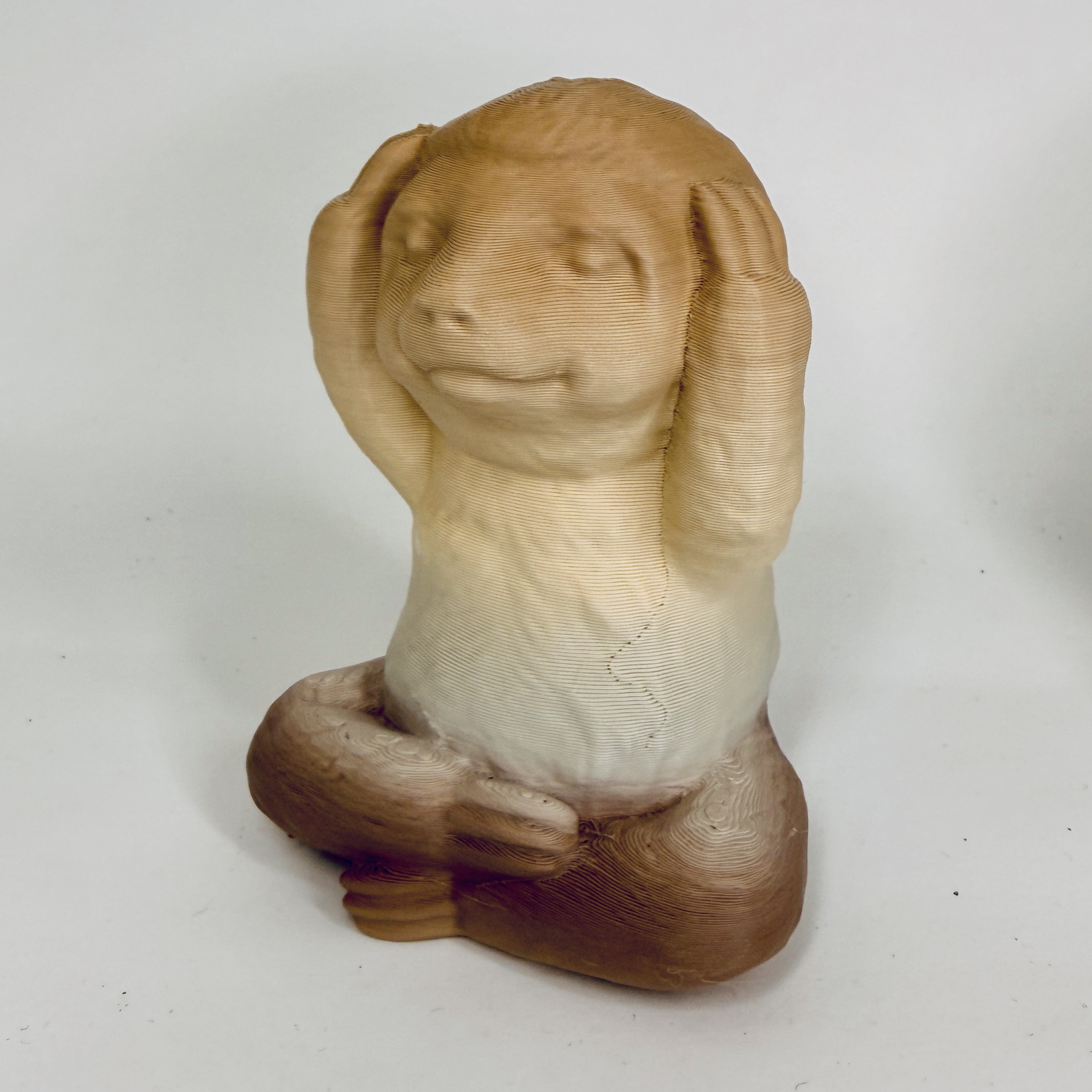 The wise Sloths — miniatura 4