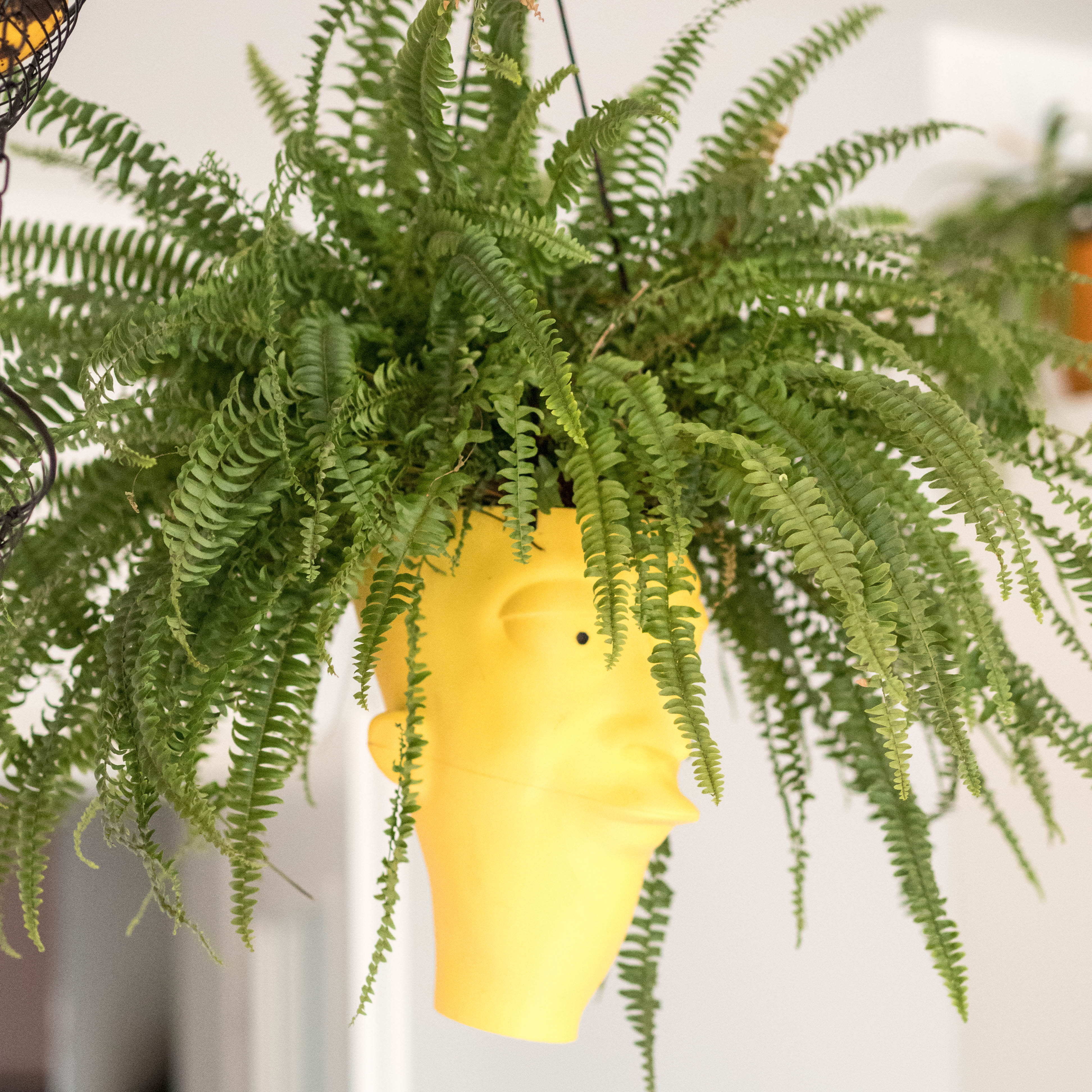 Sideshow Bob planter