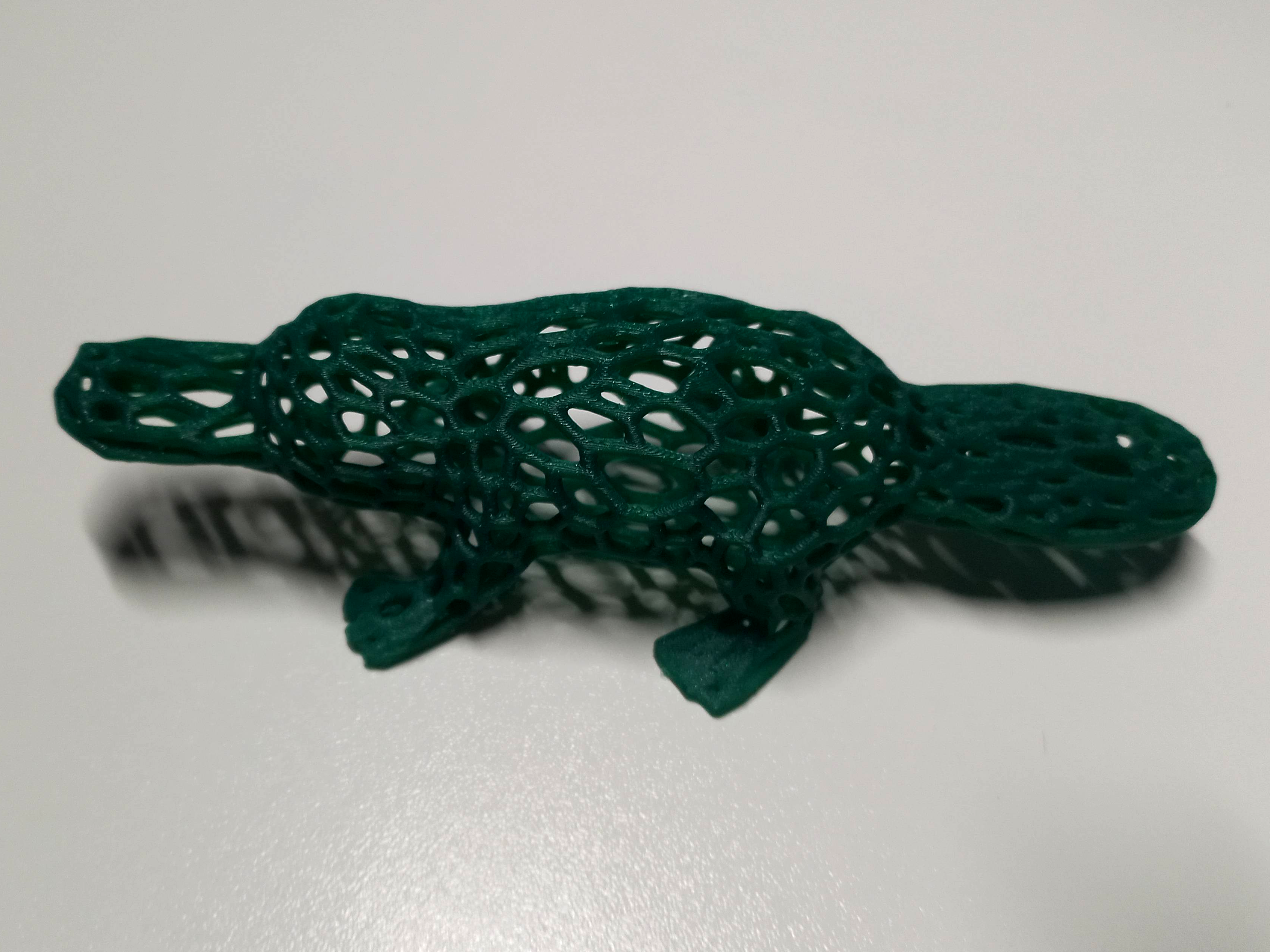 Platypus Voronoi — miniatura 2