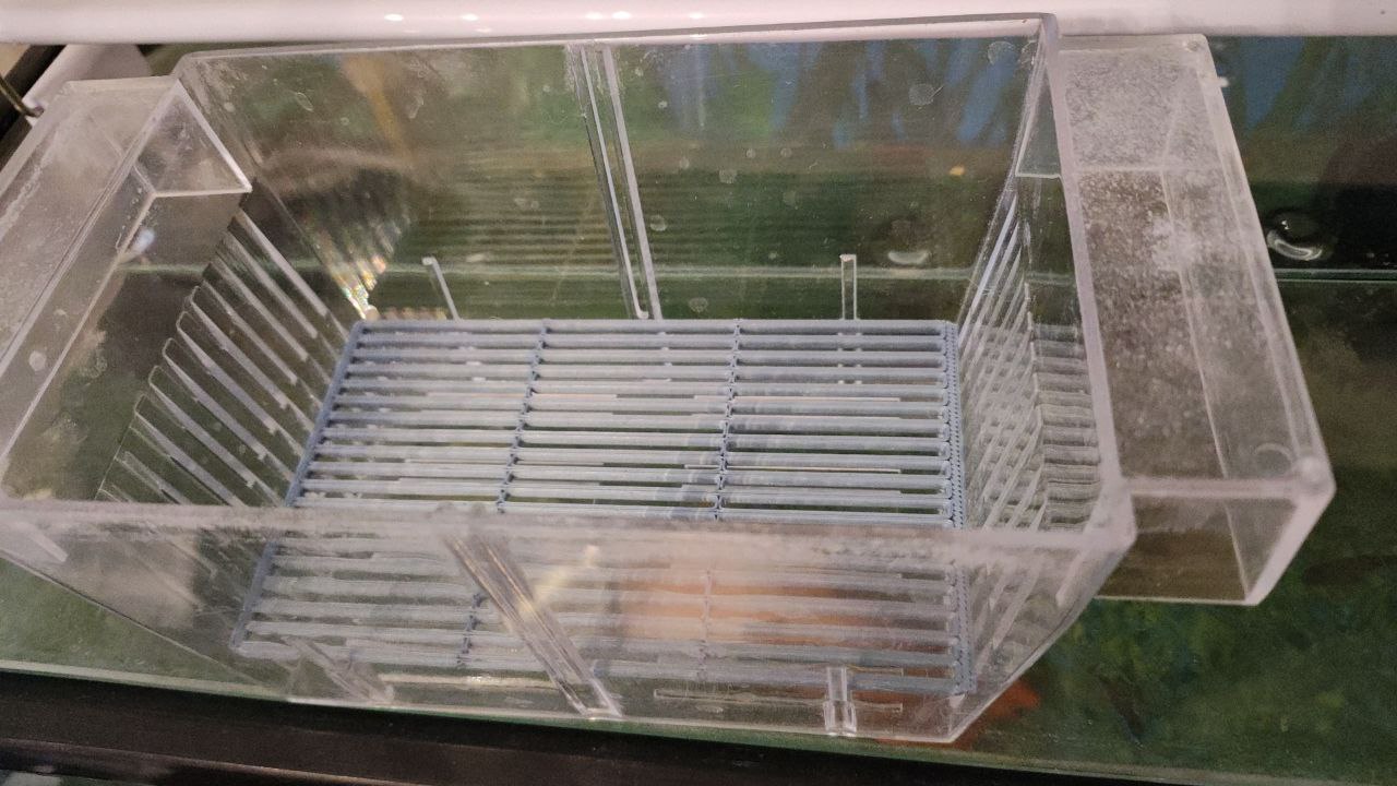 Guppy Breeder Box / Rejilla paridera Guppy