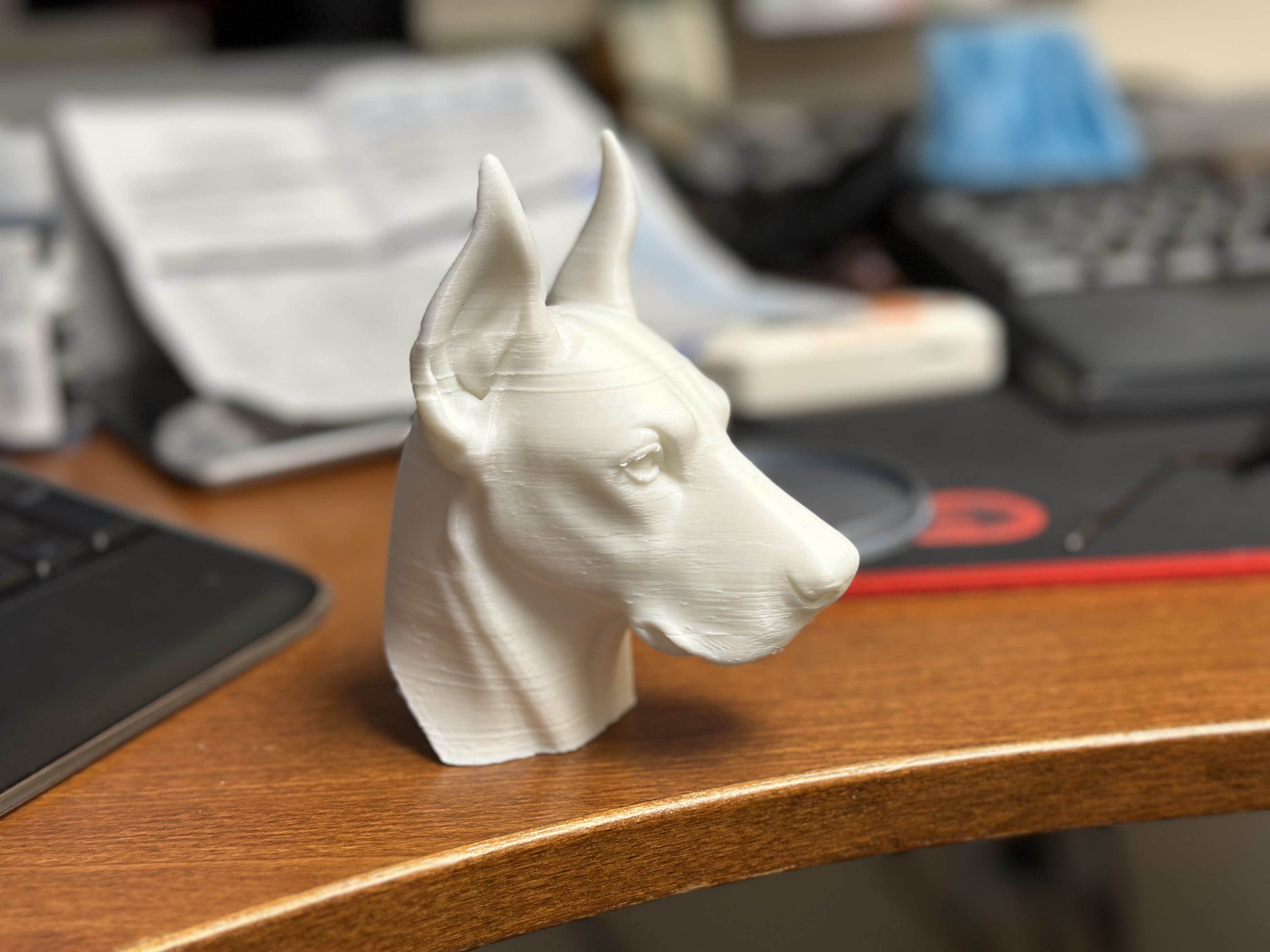 Doberman Bust — miniatura 3