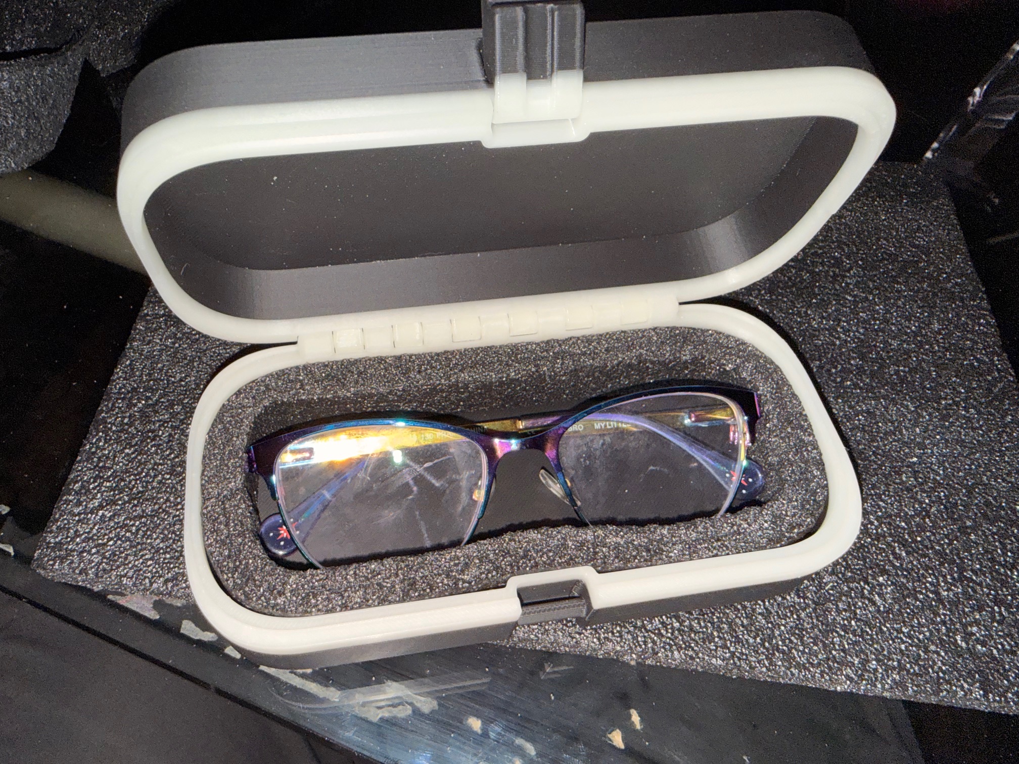 Decendants Sunglass Case