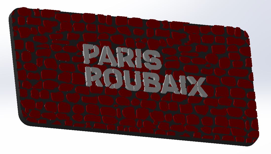 Paris - Roubaix plate