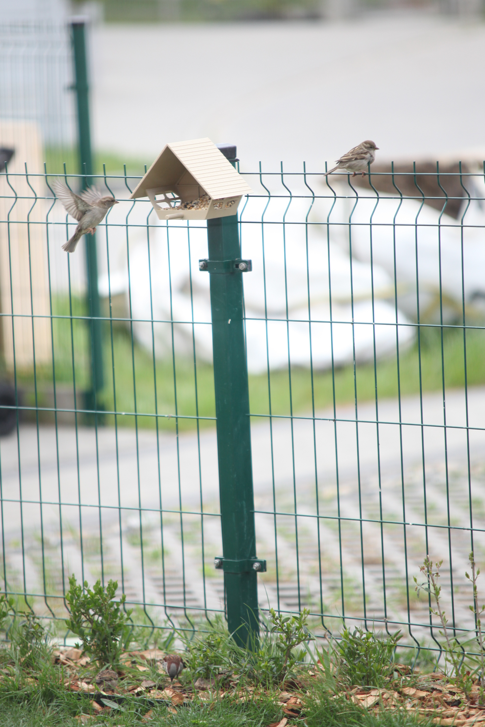 Cozy looking bird feeder with landing perch
