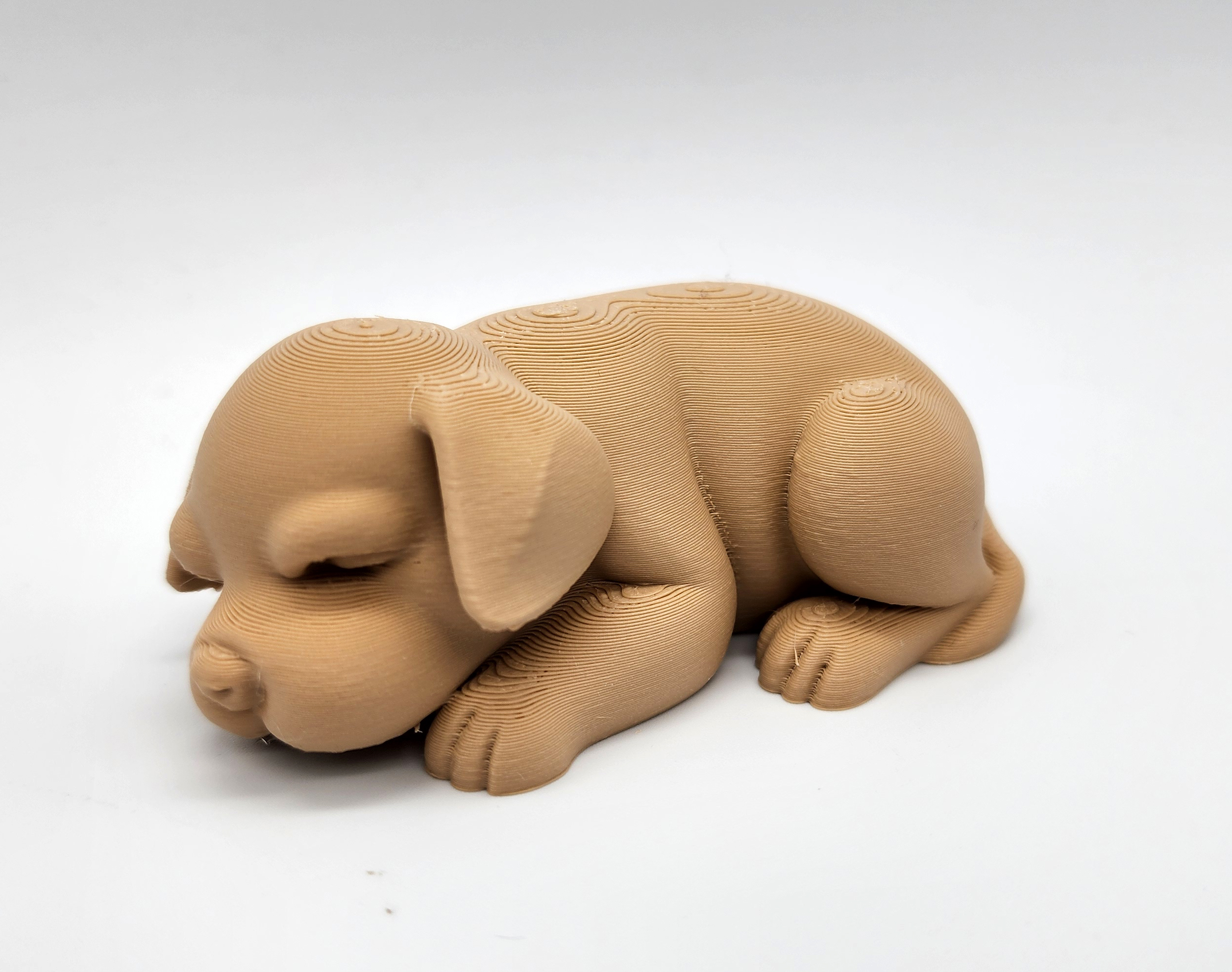 Sleeping Puppy — miniatura 2