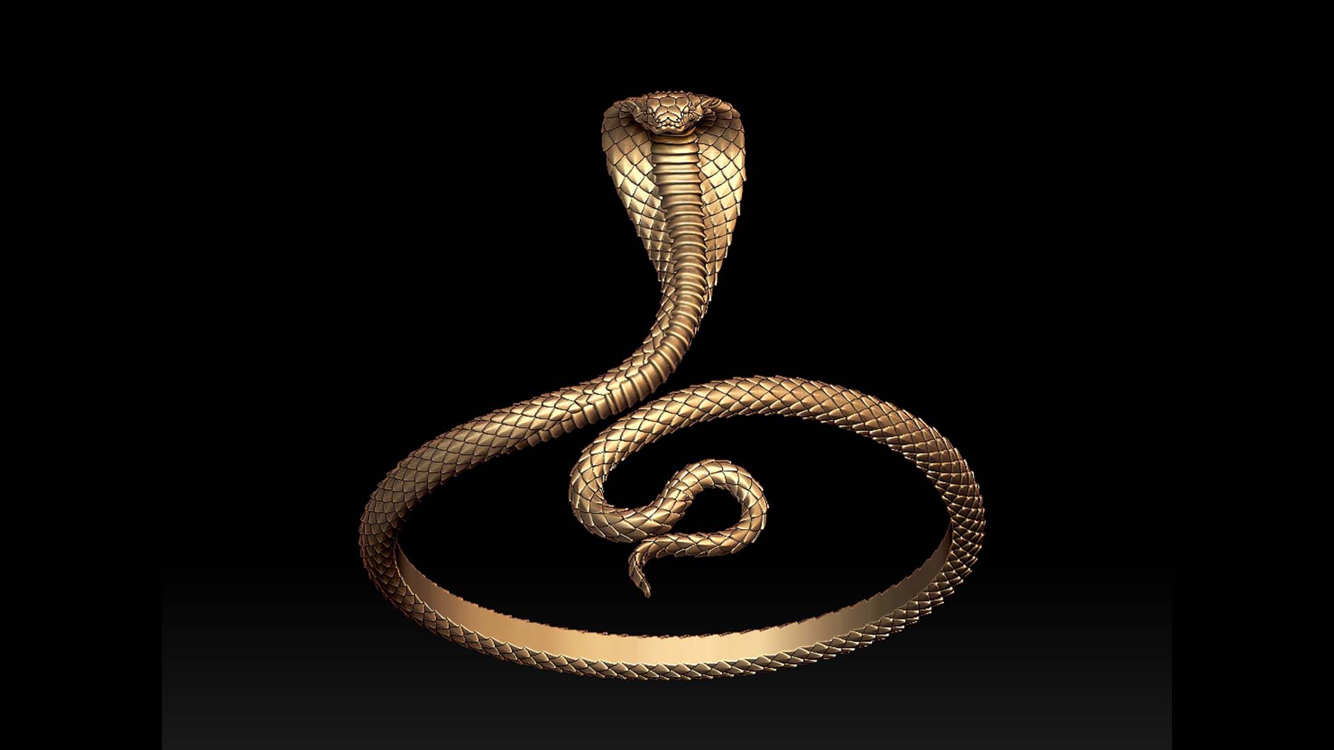 Cobra Bracelet