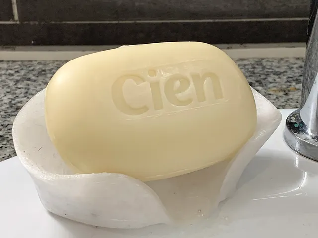 Dry Soap Dish Lilypad