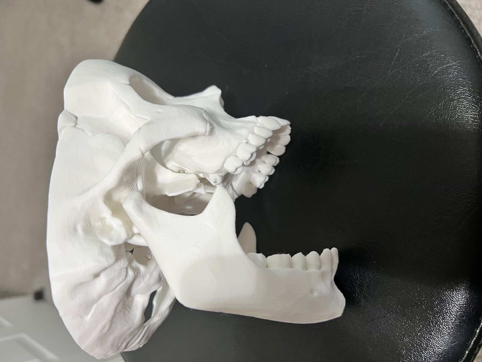 V3_updated_skull_face