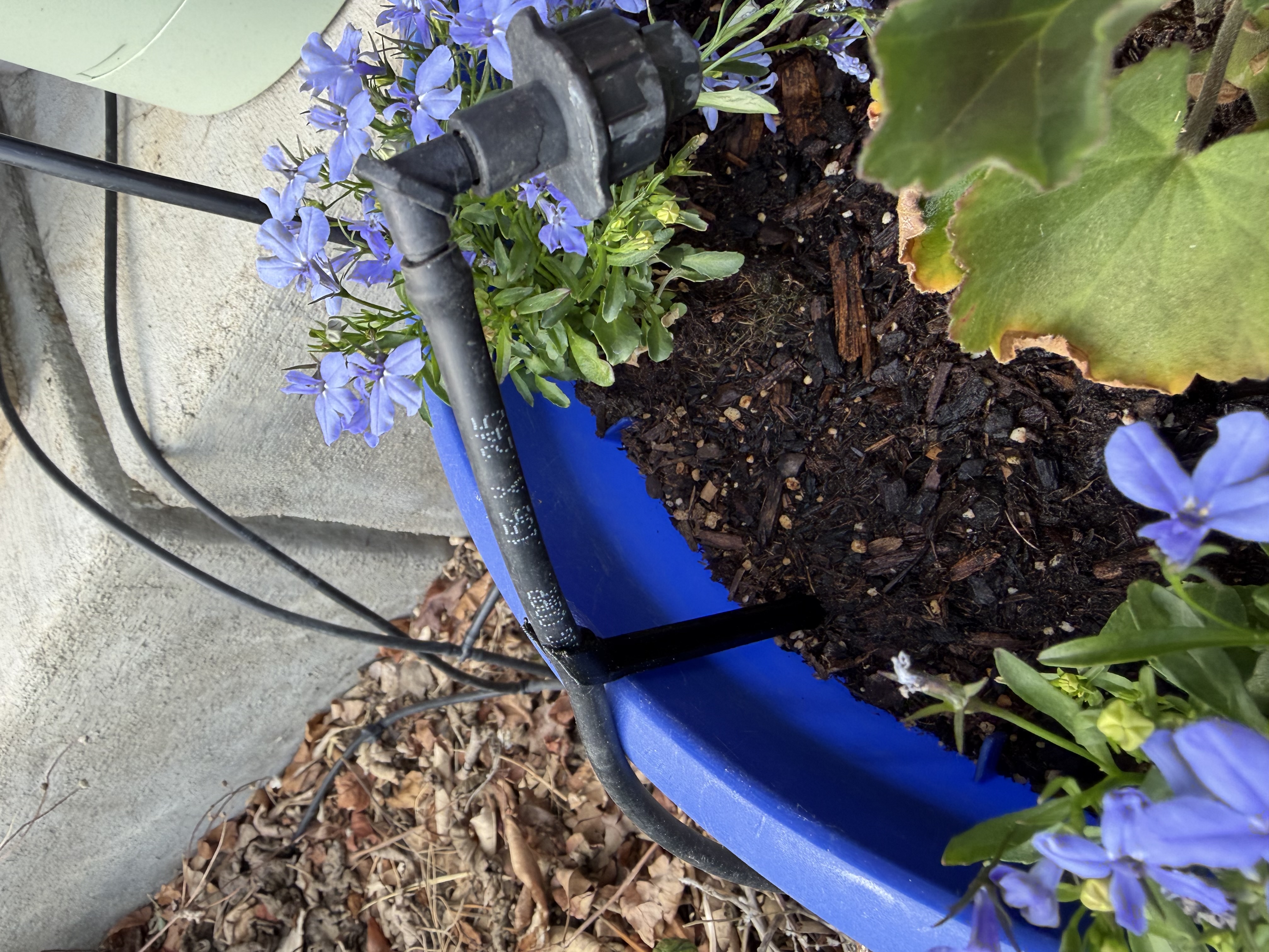 Irrigation drip stake with angled clip
