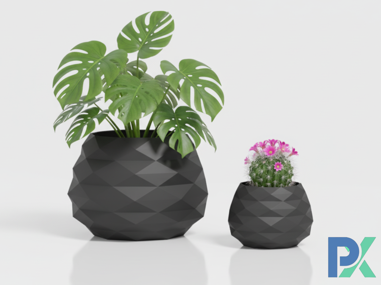 Modern flowerpot and plant cover