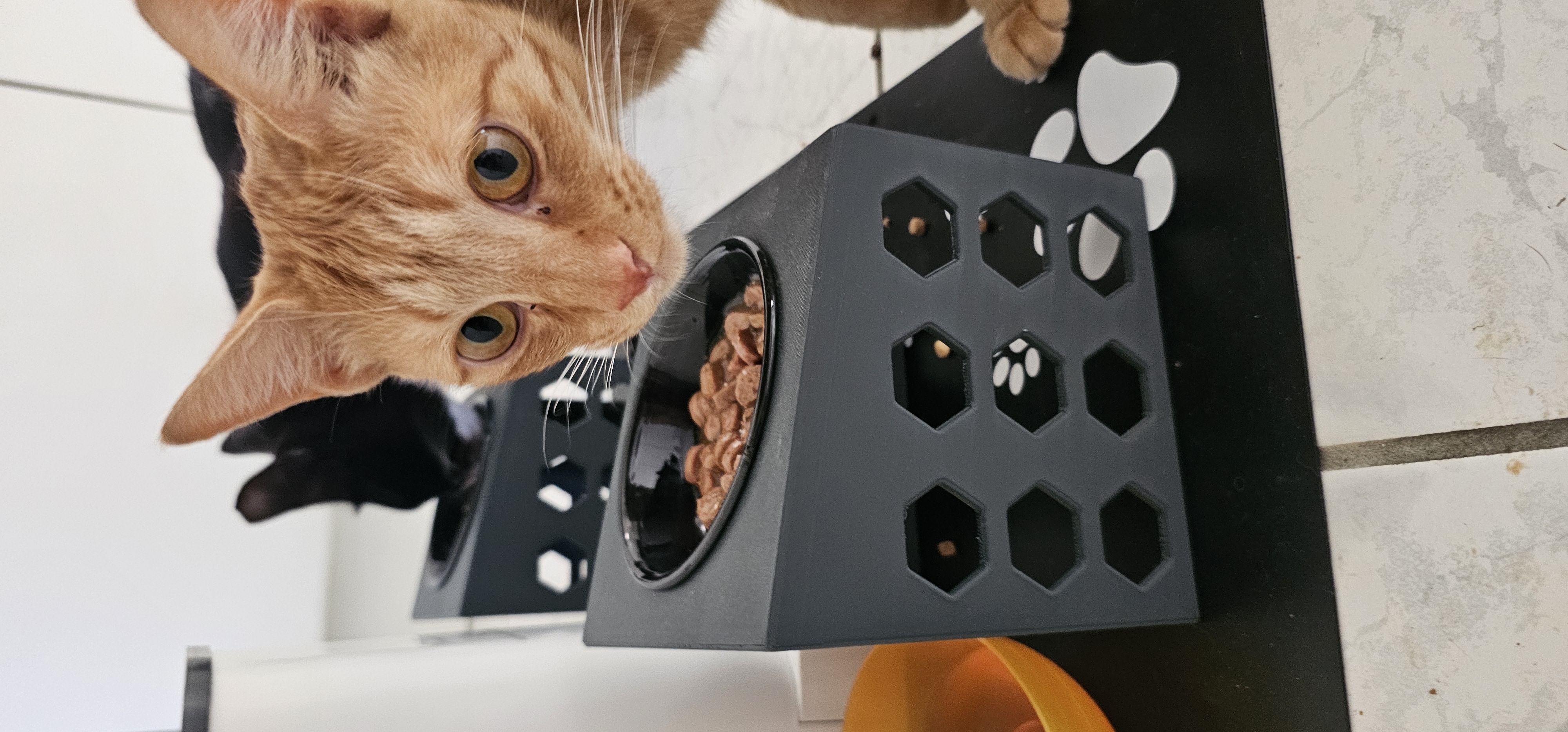 Futternapferhöhung für Katzen