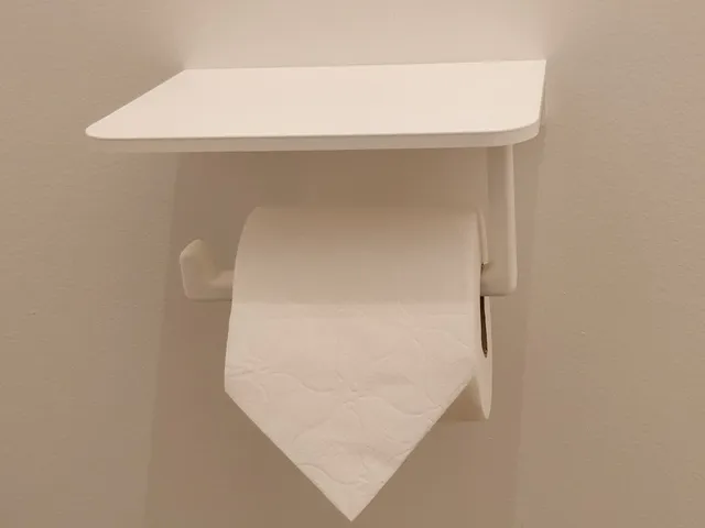 Toilet Paper Holder with surface to put your phone