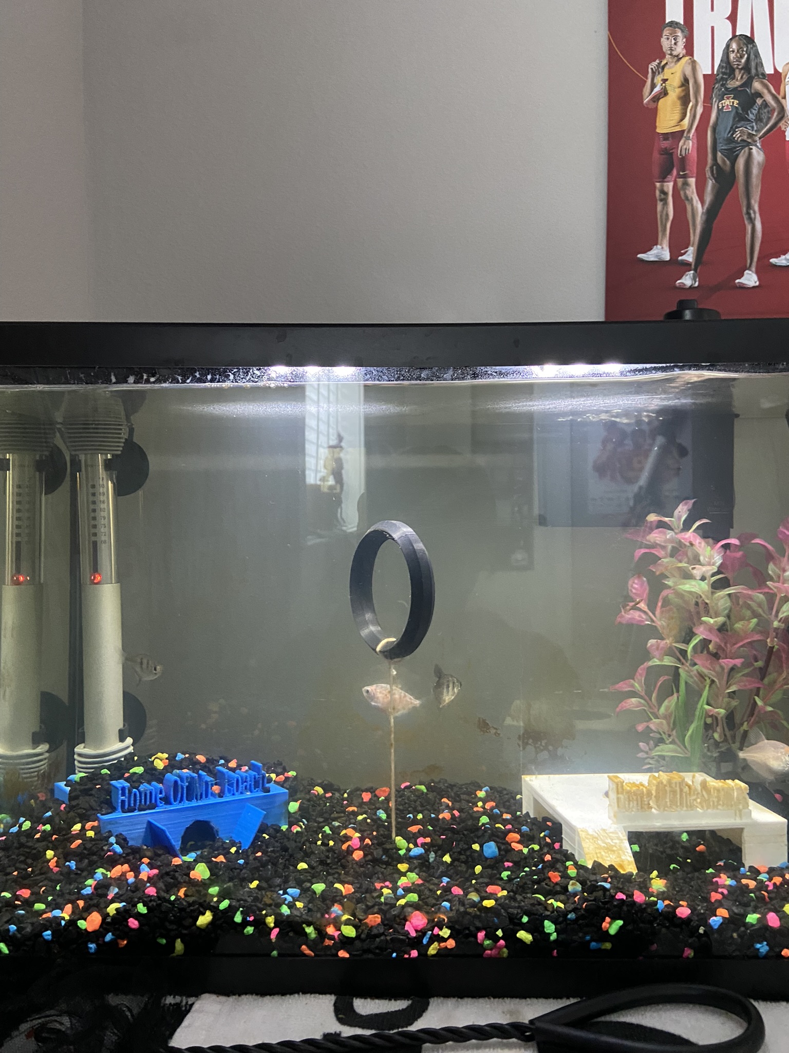 Fish Tank Hoop/portal by ShamTheBeastyt Download free STL model