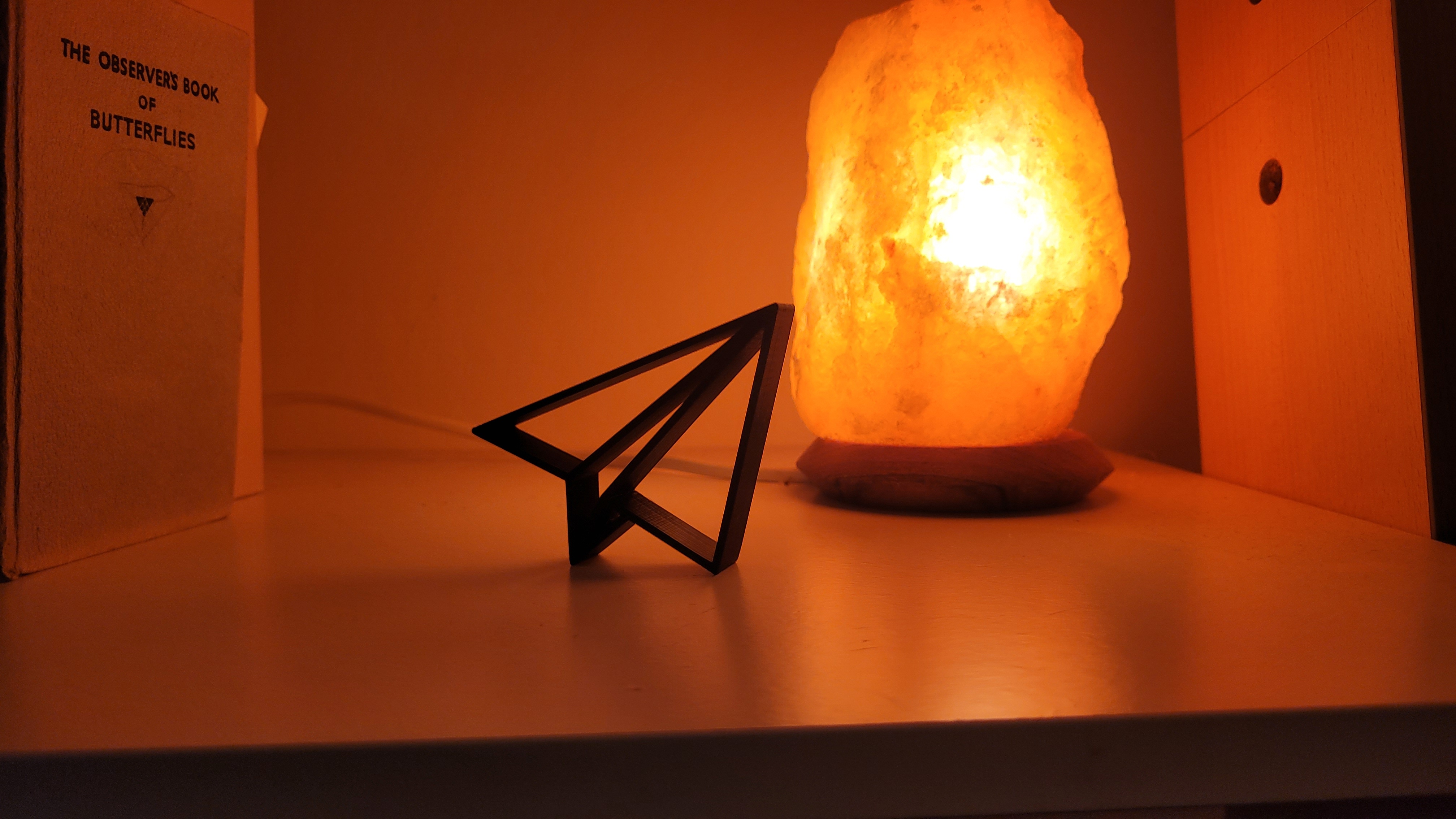 Paper Airplane line art / home decor