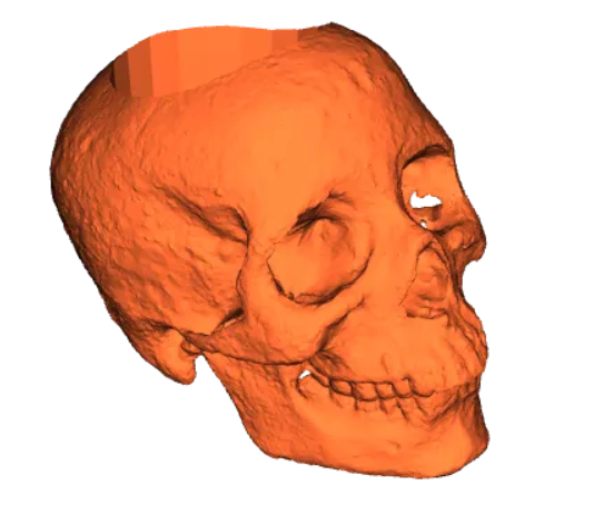 skull pen holder