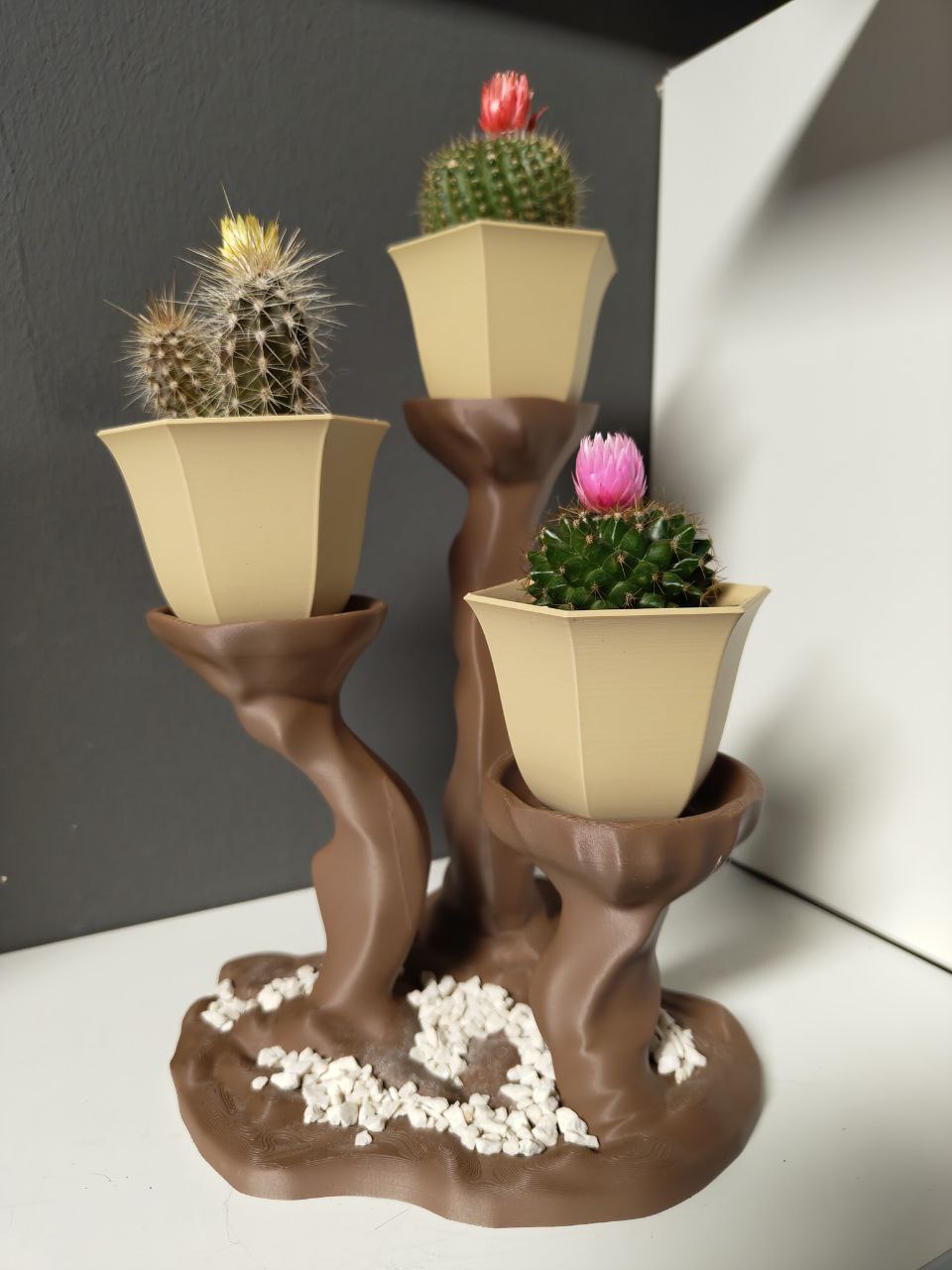 Anna CactusPot with organic stand