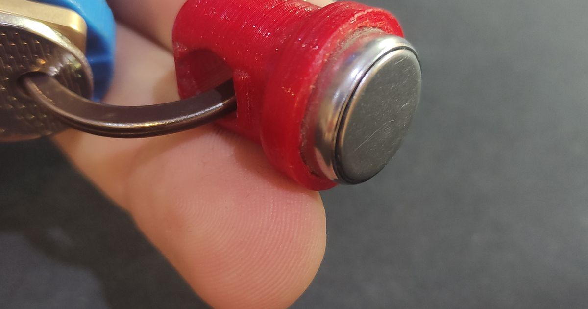 Case For Door unlocker chip by Prusa.printer Download free STL model