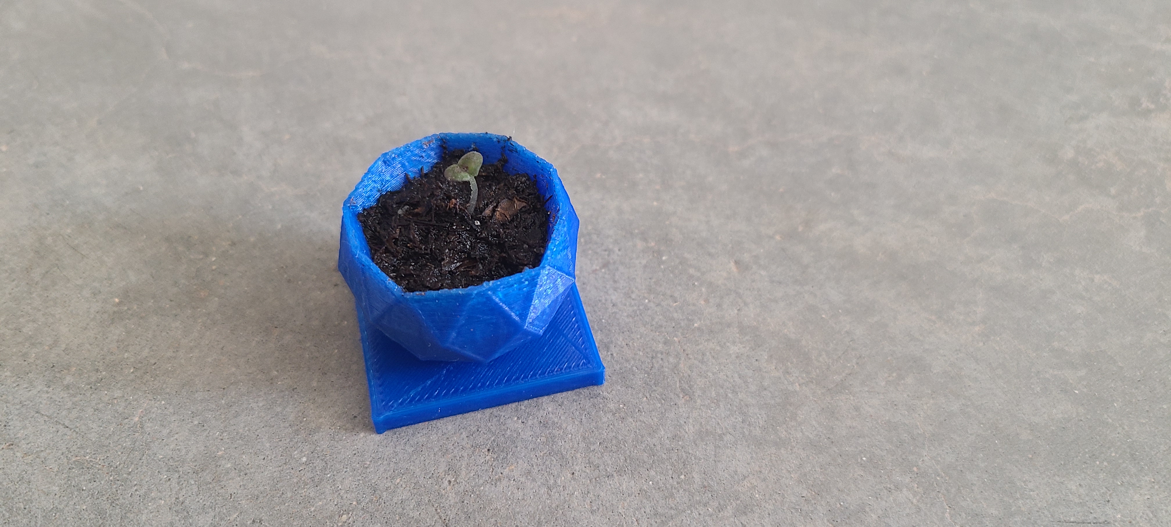 Basic flower pot.