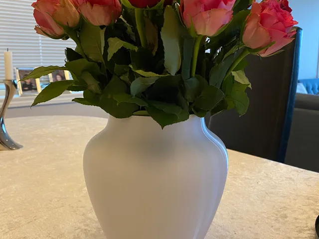 Classical Vase (2 versions)