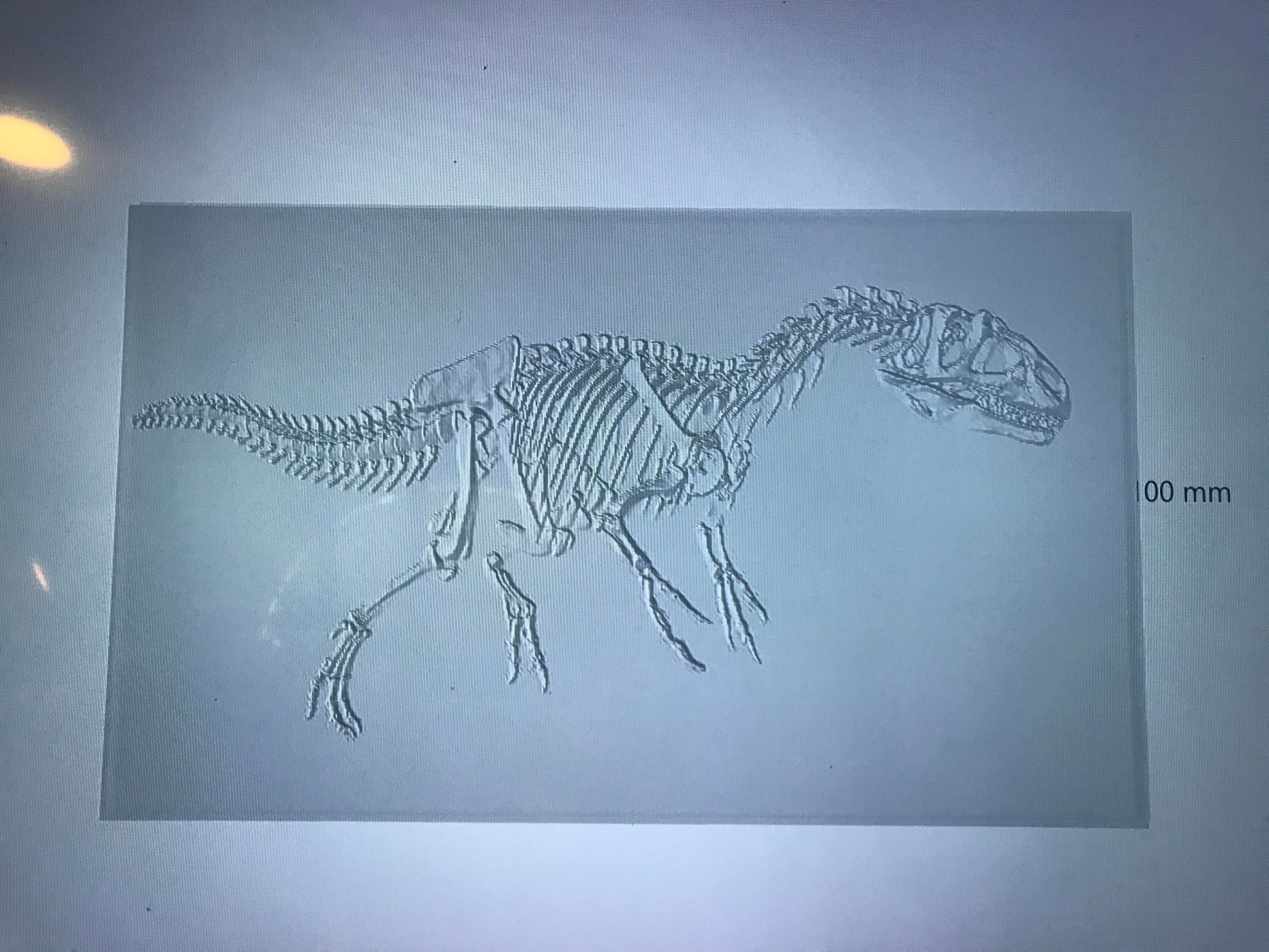 dino fossil Relief litho