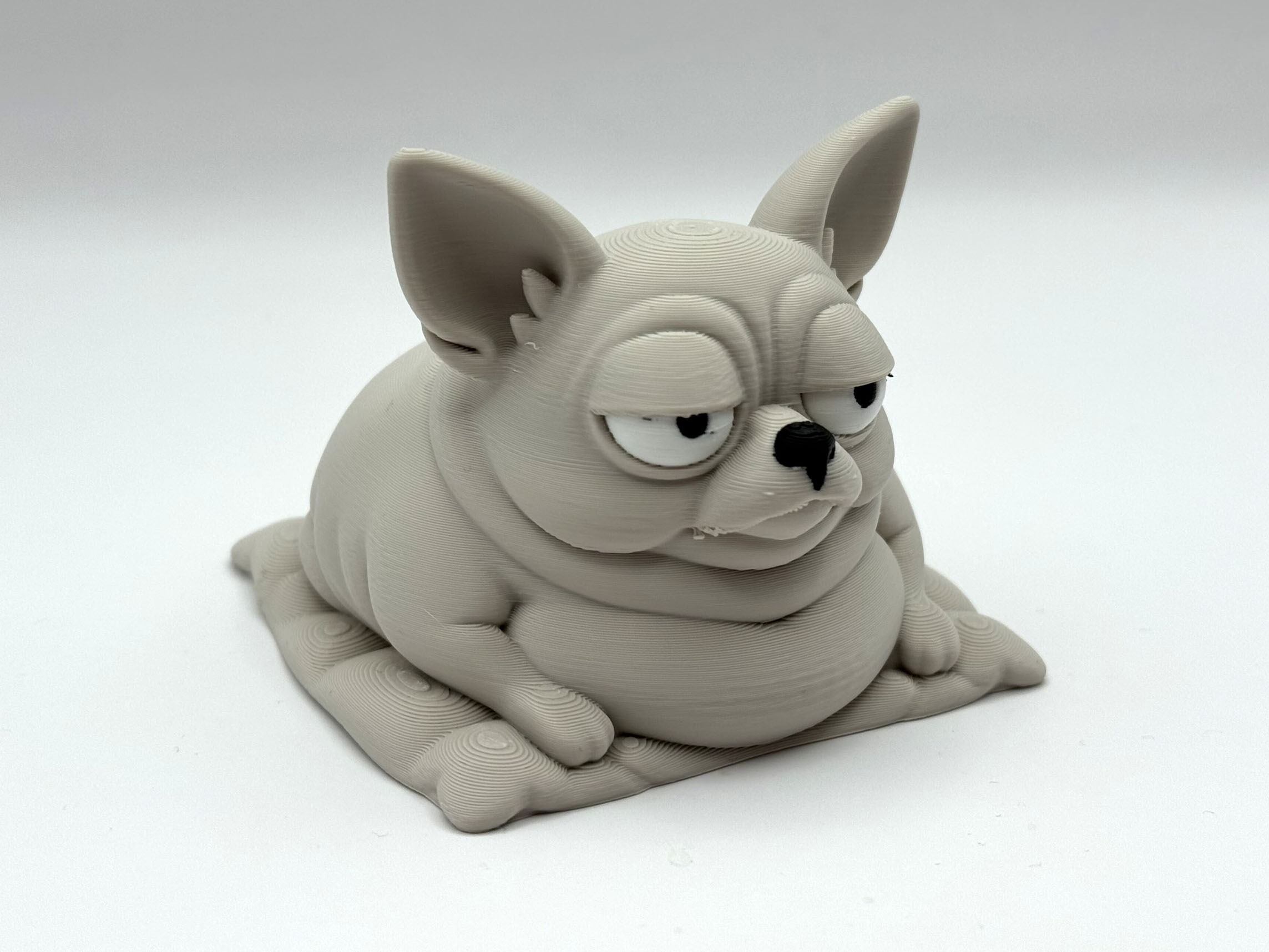 Grumpy Chonk Chihuahua
