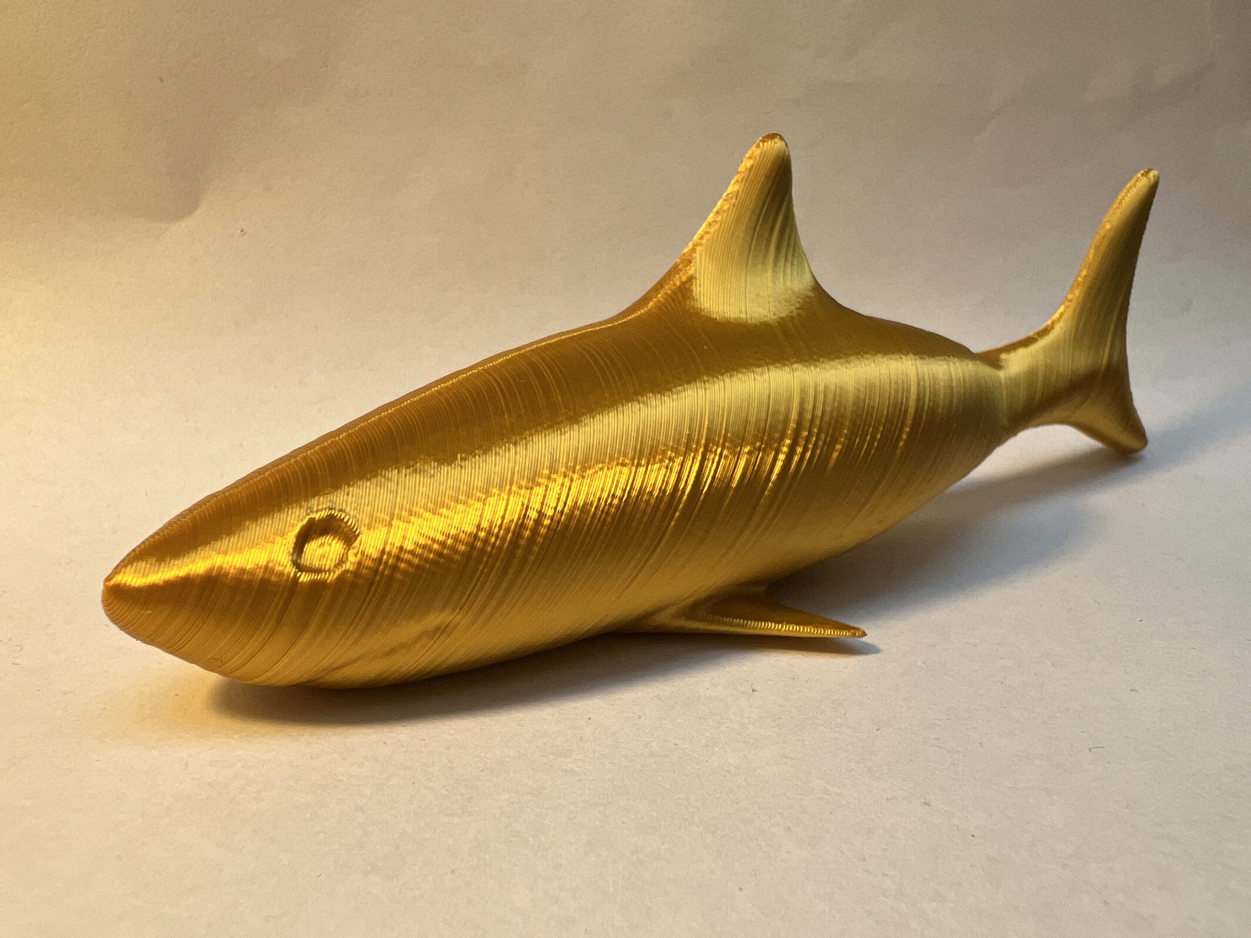 Great white shark