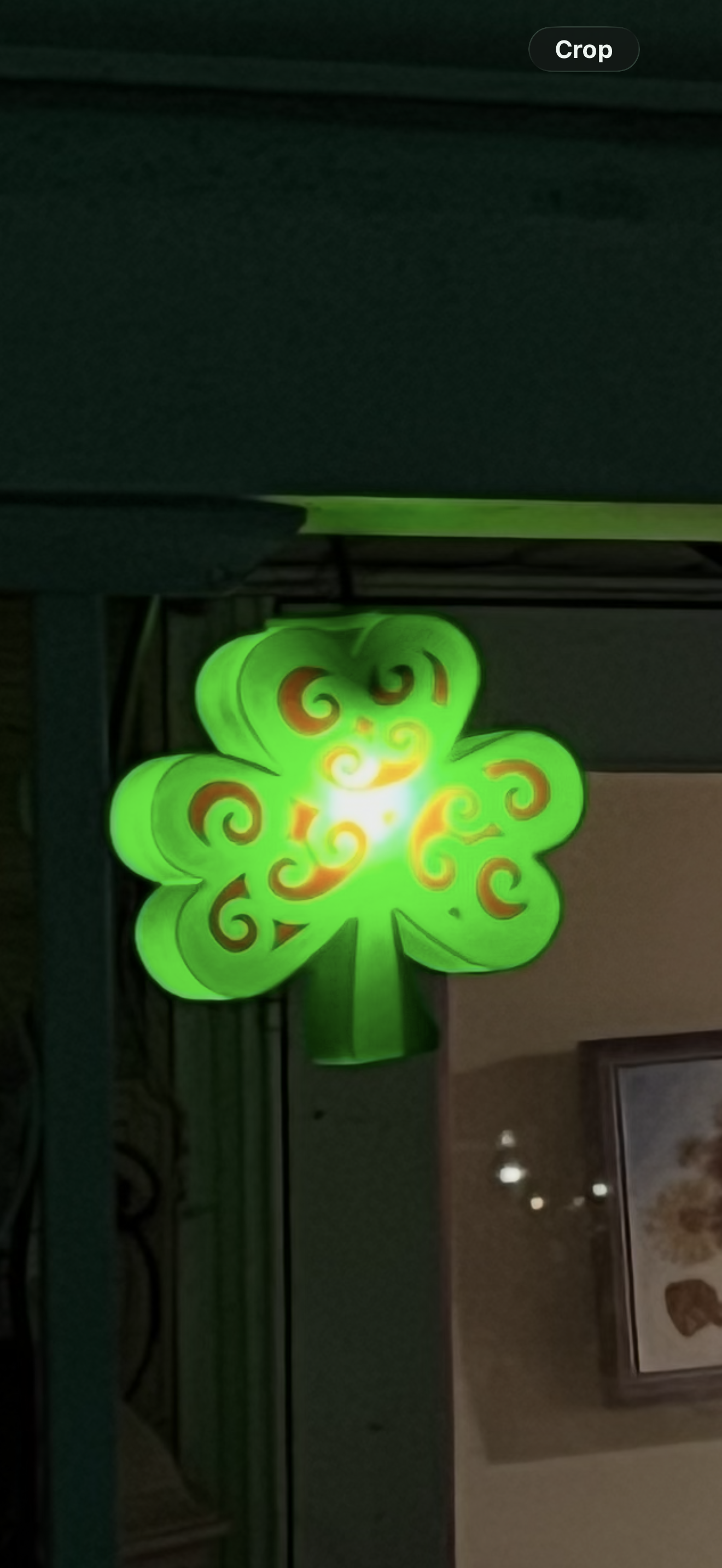 String Light Decorative Cover - St Patrick’s Day