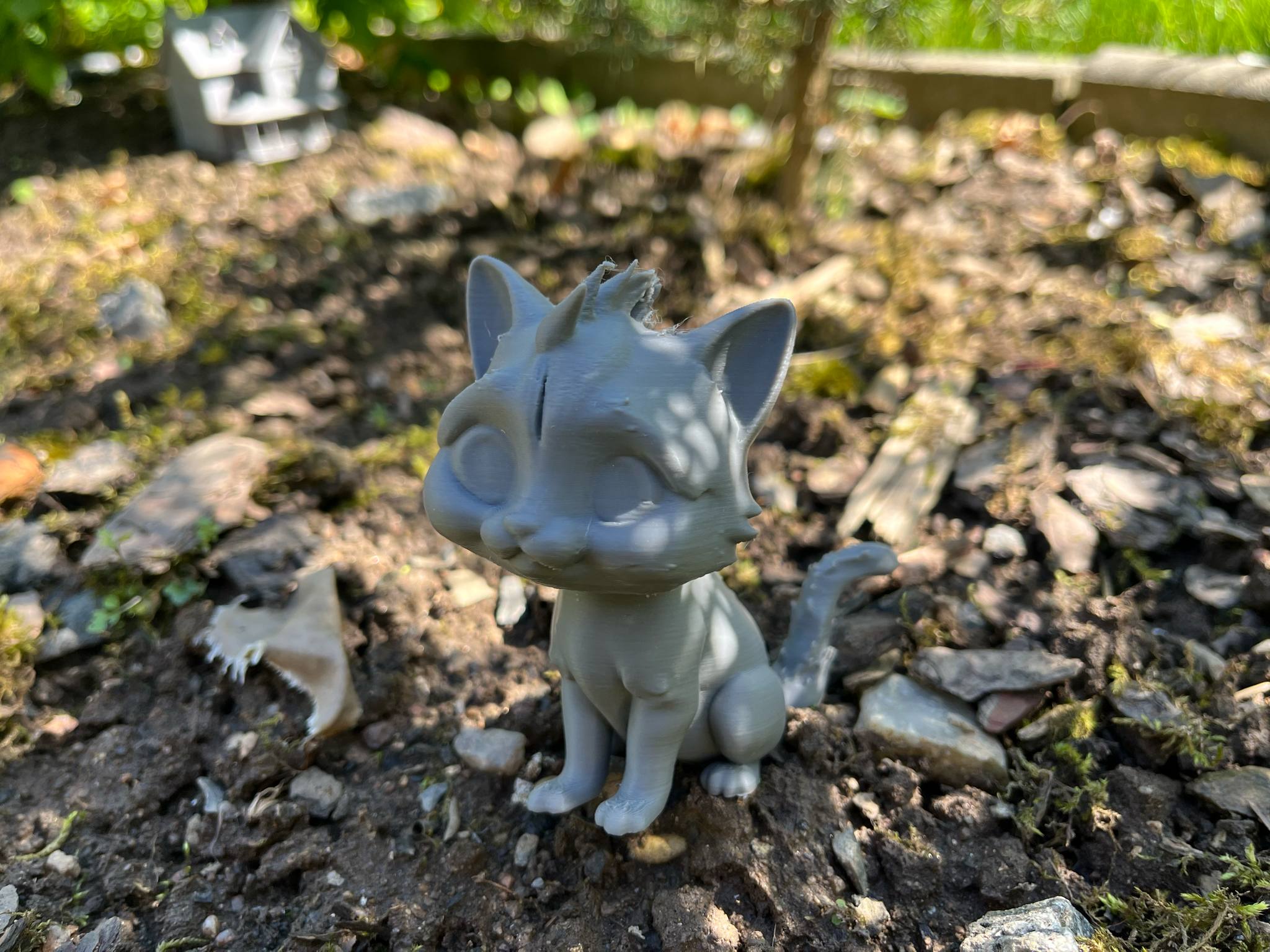 Beautiful cute kitty — thumbnail 3