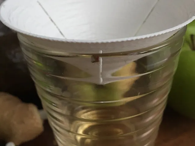 Fruit Fly Trap