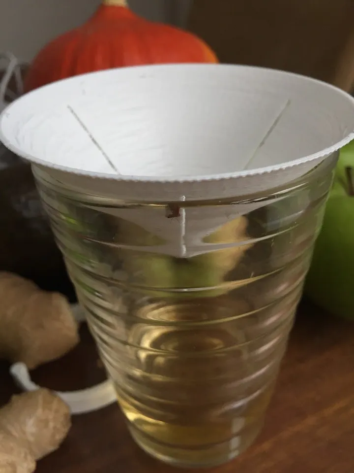 Fruit Fly Trap by 3DM-DeMeern | Download free STL model | Printables.com