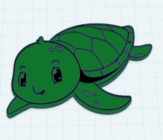 Baby Turtle