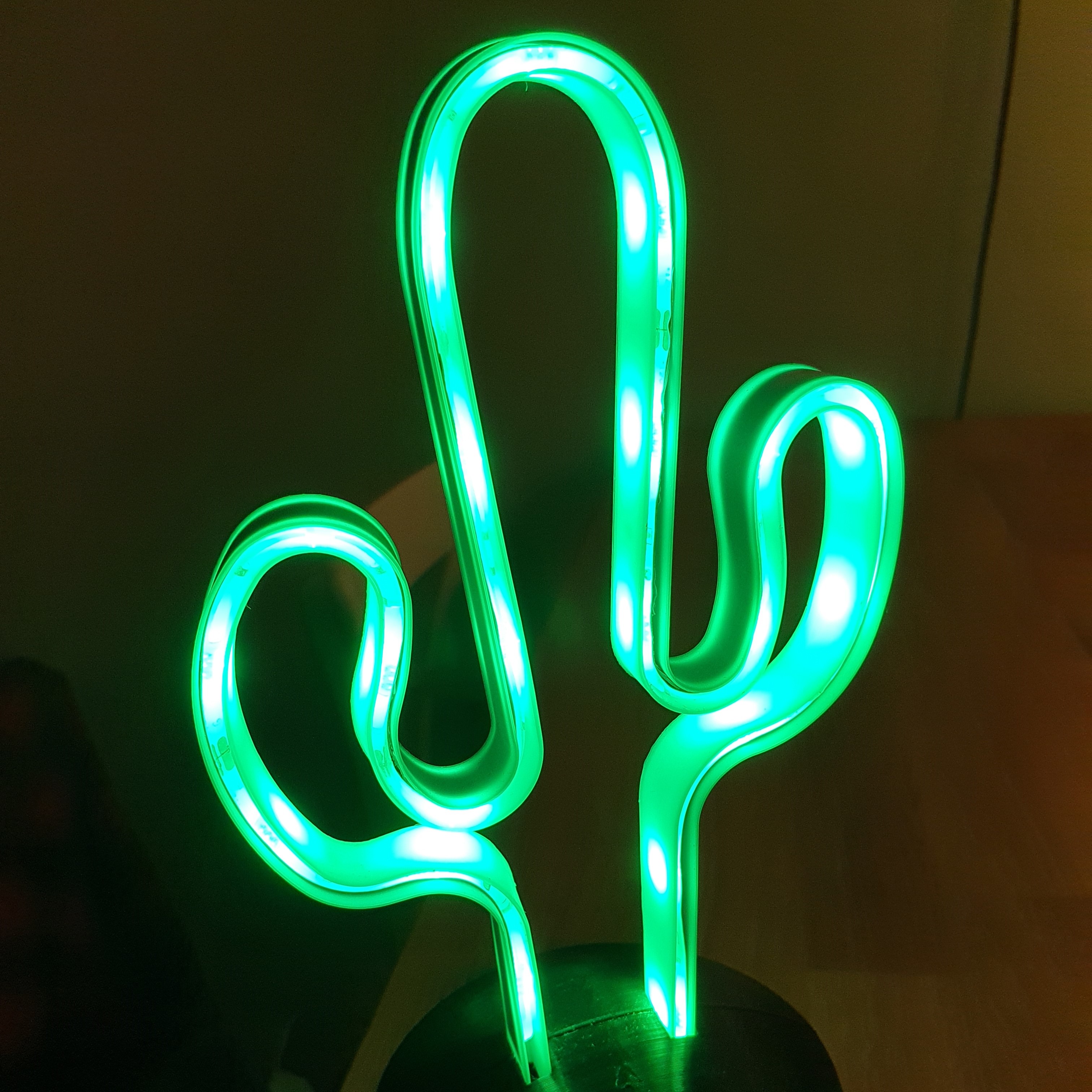 Eco Cactus Lamp (Neon-like)