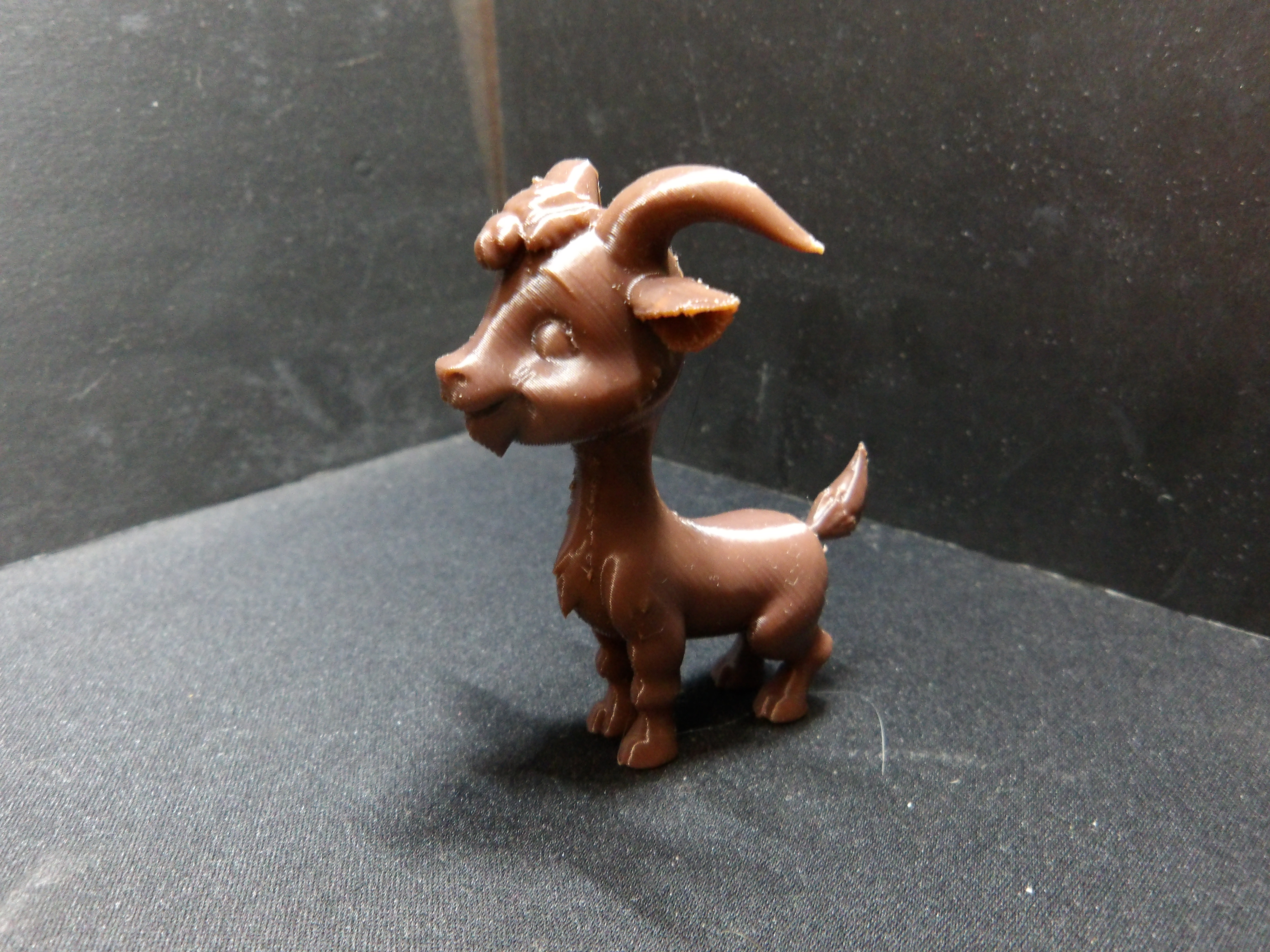 Just A cute goat.