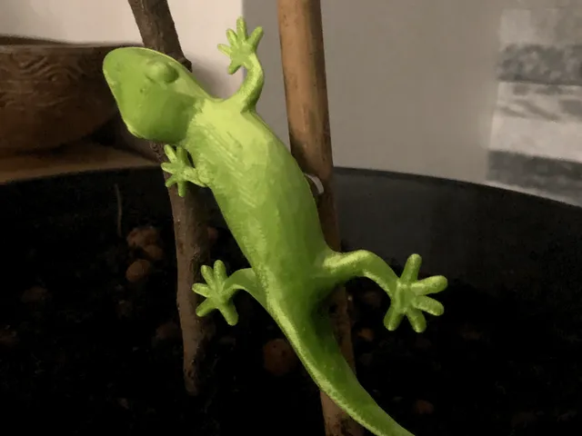 Gecko magnet