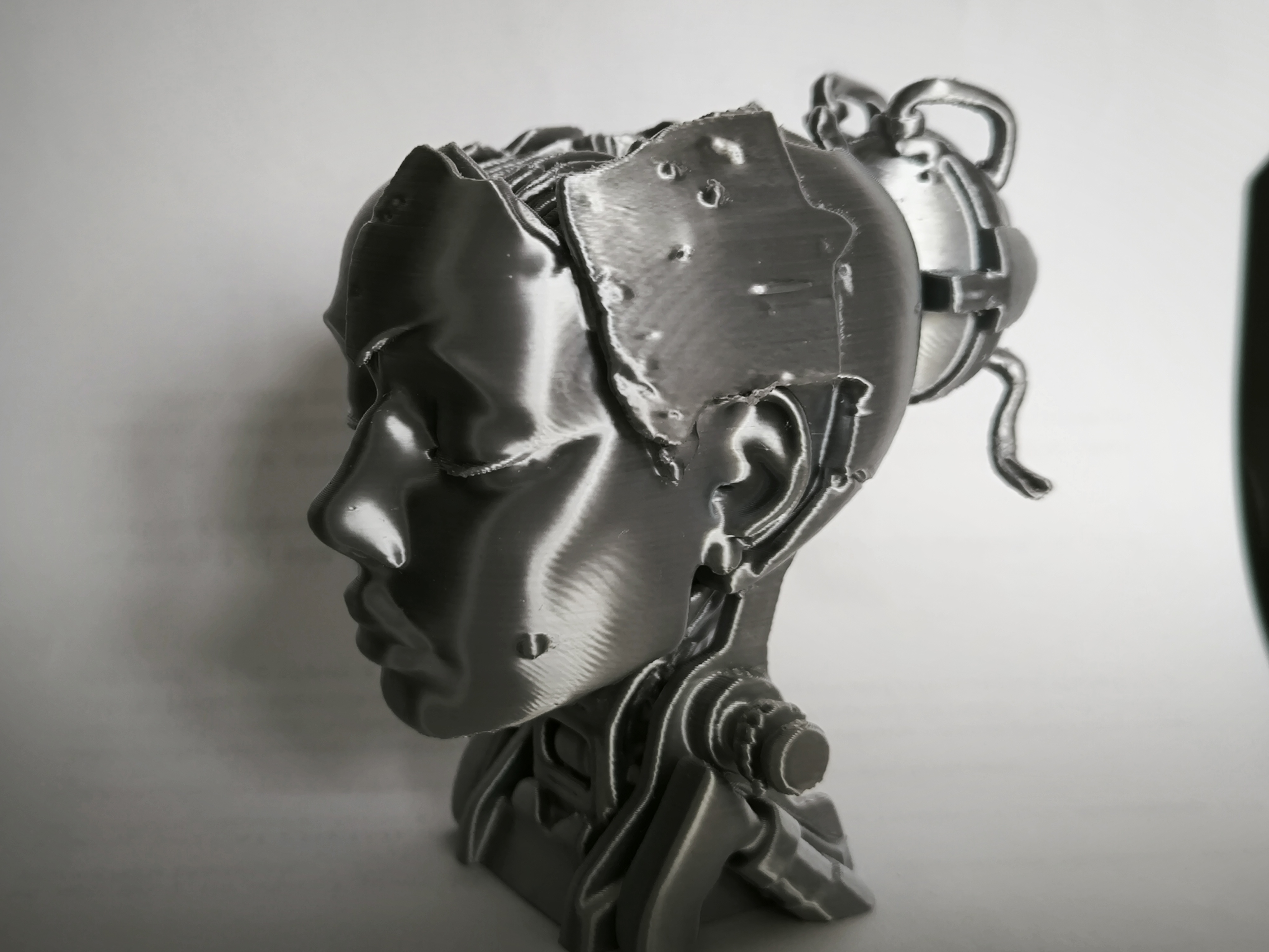 Broken Humanoid Bust