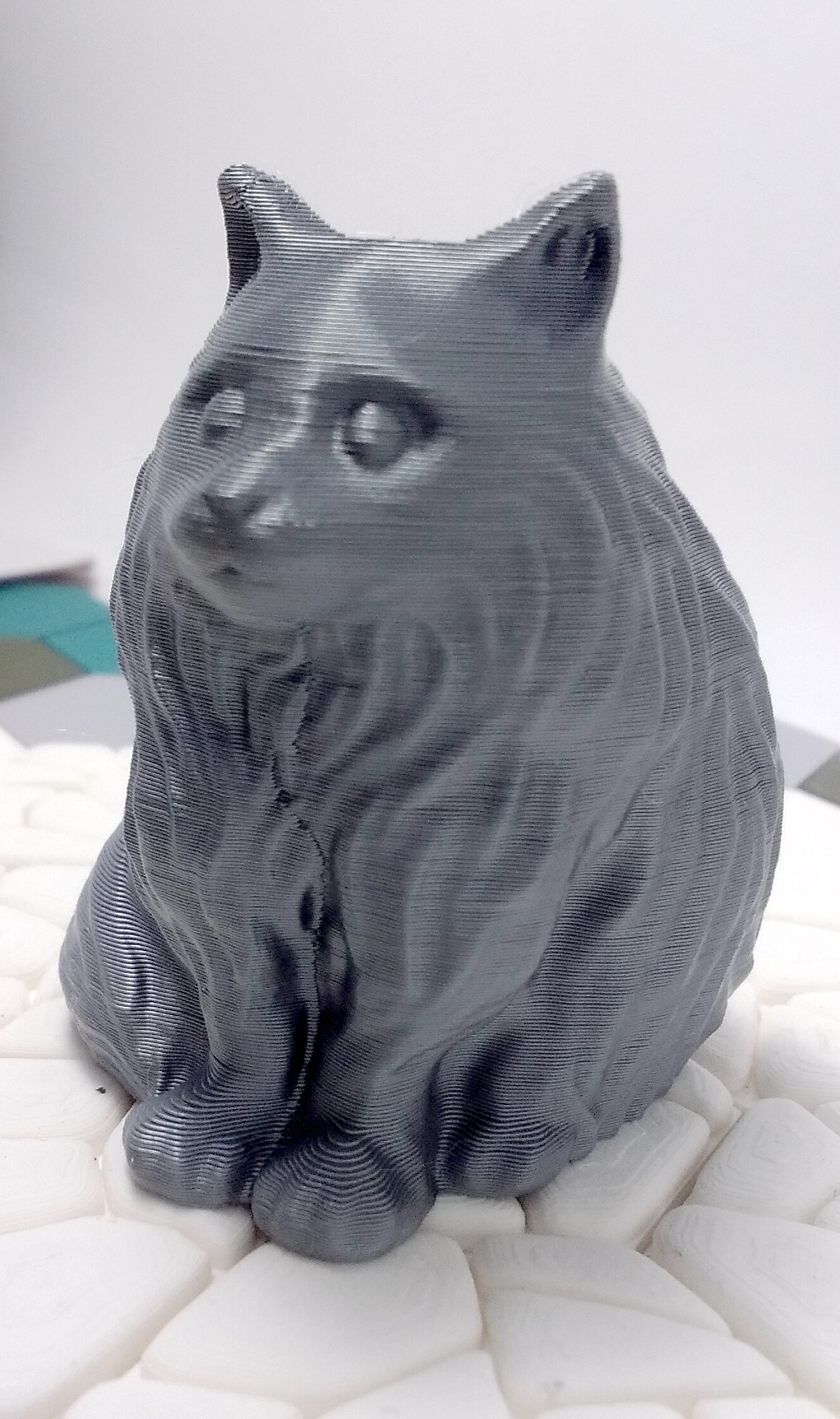 Fluffy Cat — miniatura 2