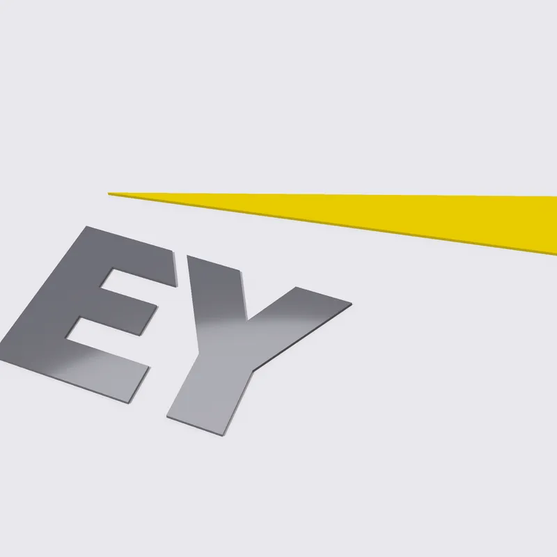 Personalization with purpose: How EY is using Adobe Experience Platform to  drive deeper engagements with clients