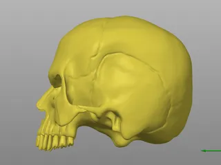 Evil Head by Handica | Download free STL model | Printables.com