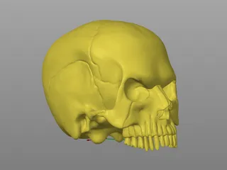 Evil Head by Handica | Download free STL model | Printables.com