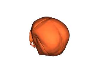 Evil Head by Handica | Download free STL model | Printables.com