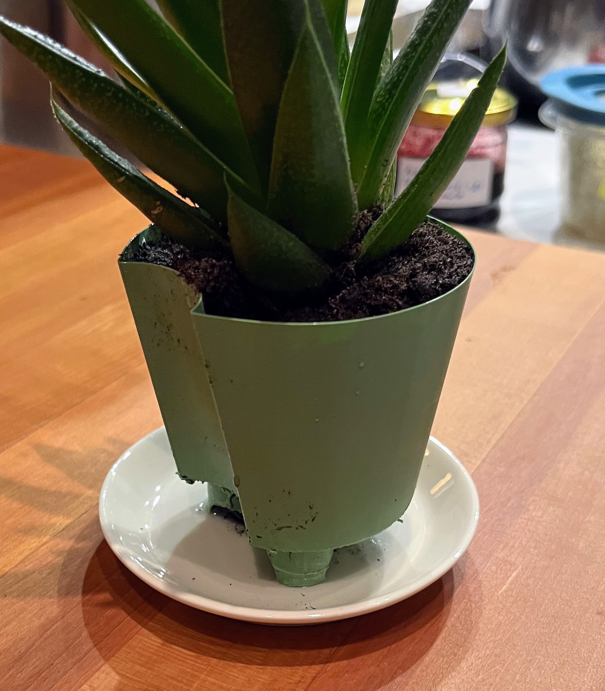 Parametric Self Watering Pot Insert