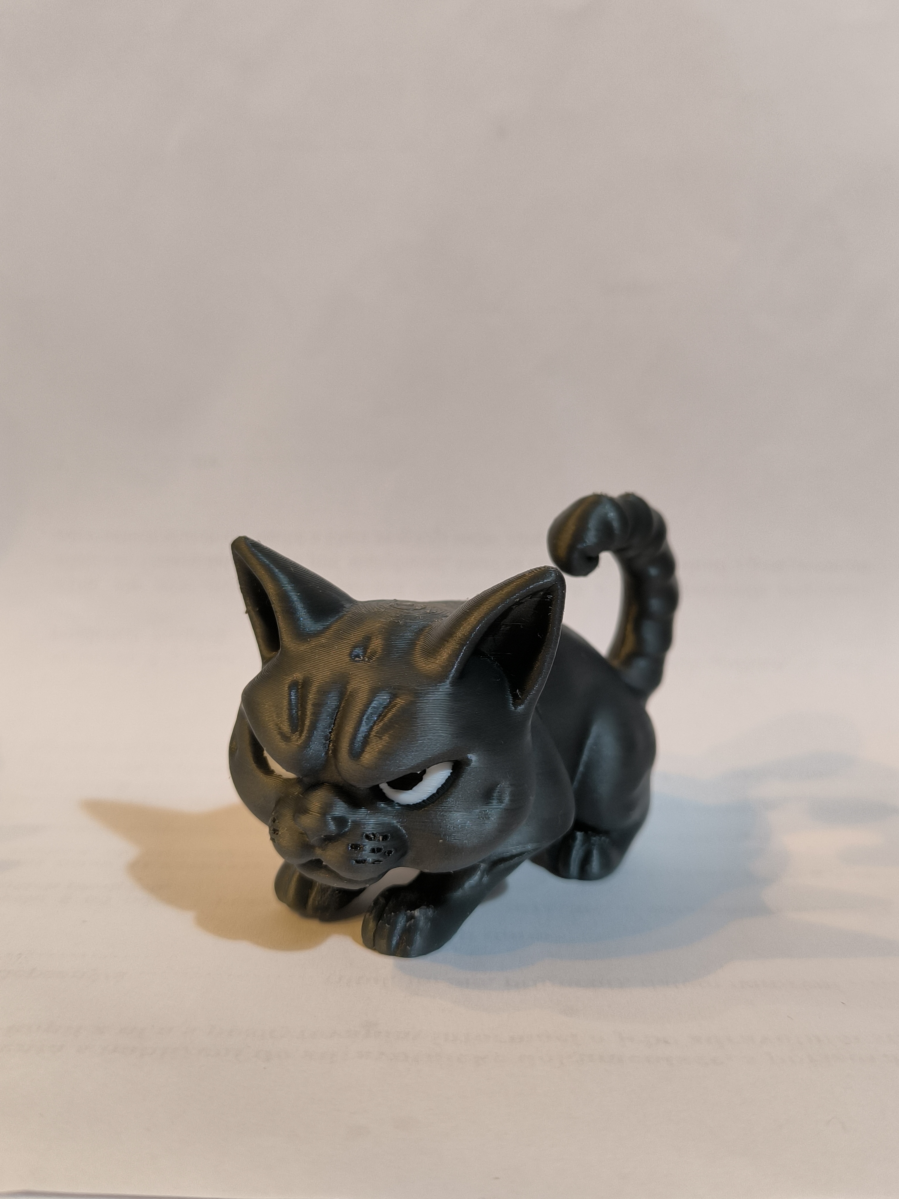 Miniatura 3 do modelo 3D Angry Cat