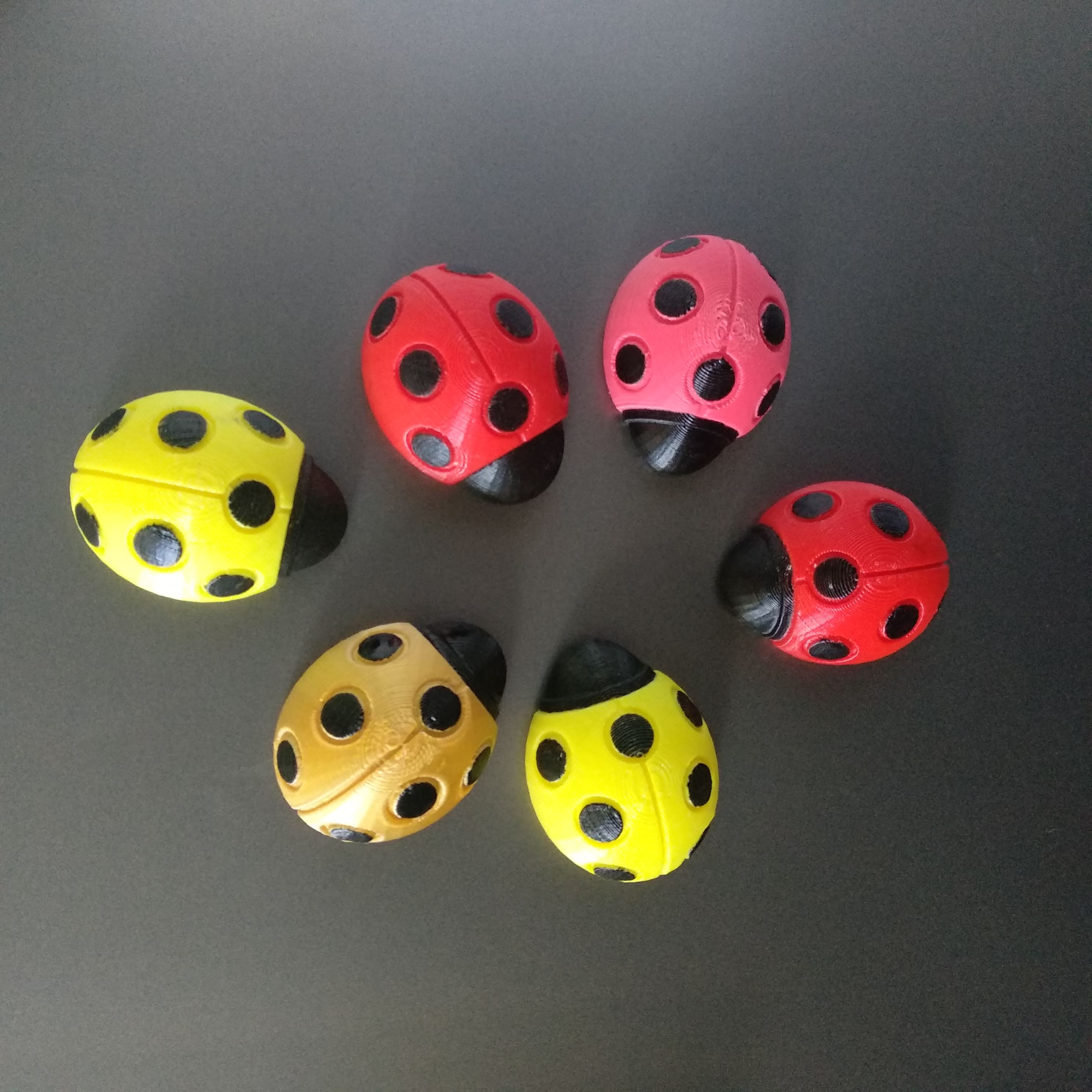 Ladybird Ladybug Fridge Magnet