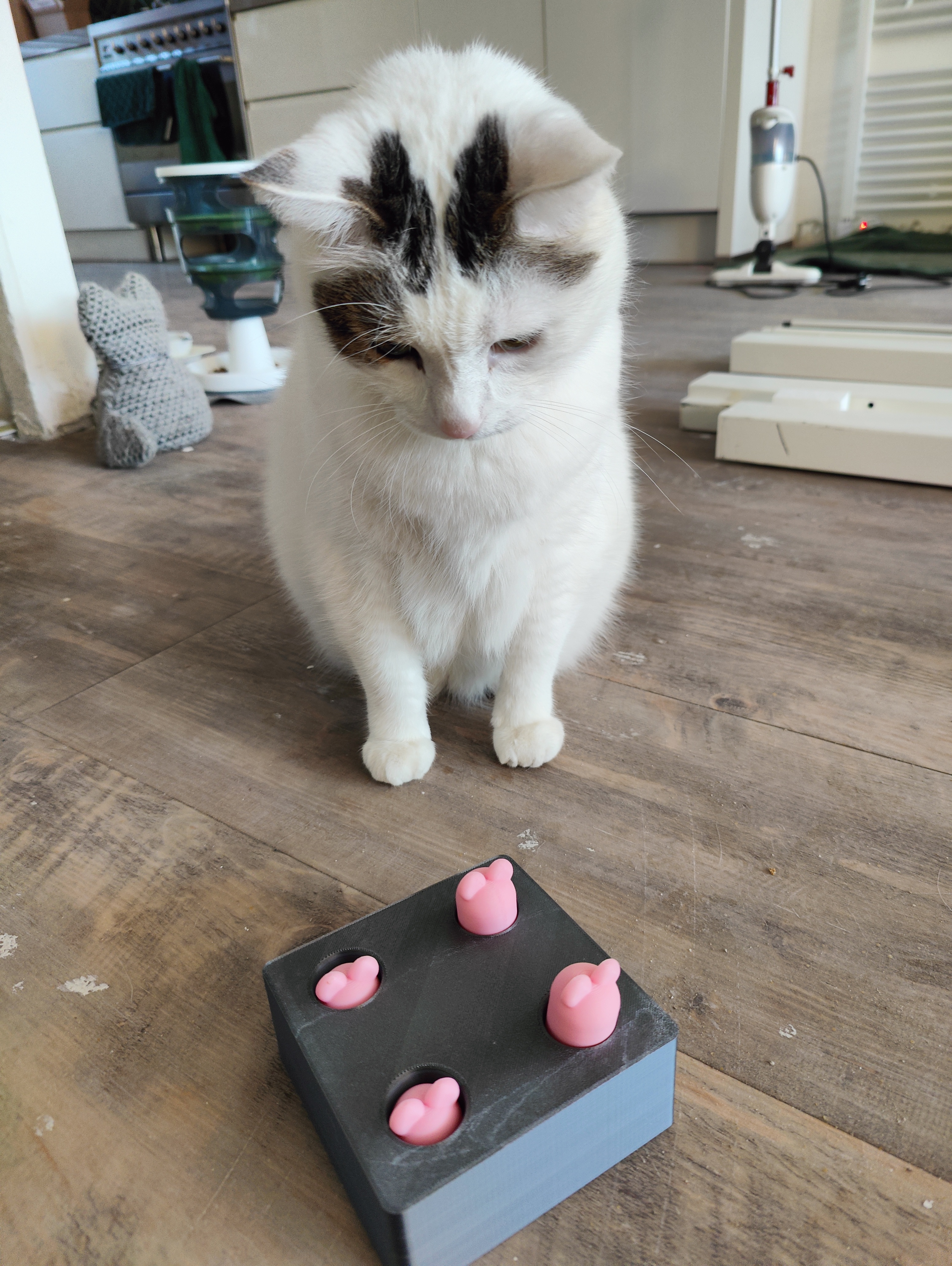 whack a mole CATtoy (updated) — miniatura 6