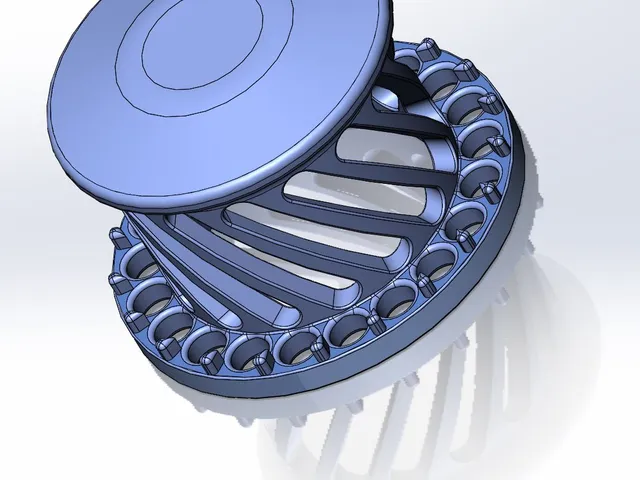 Bathtub drain filter