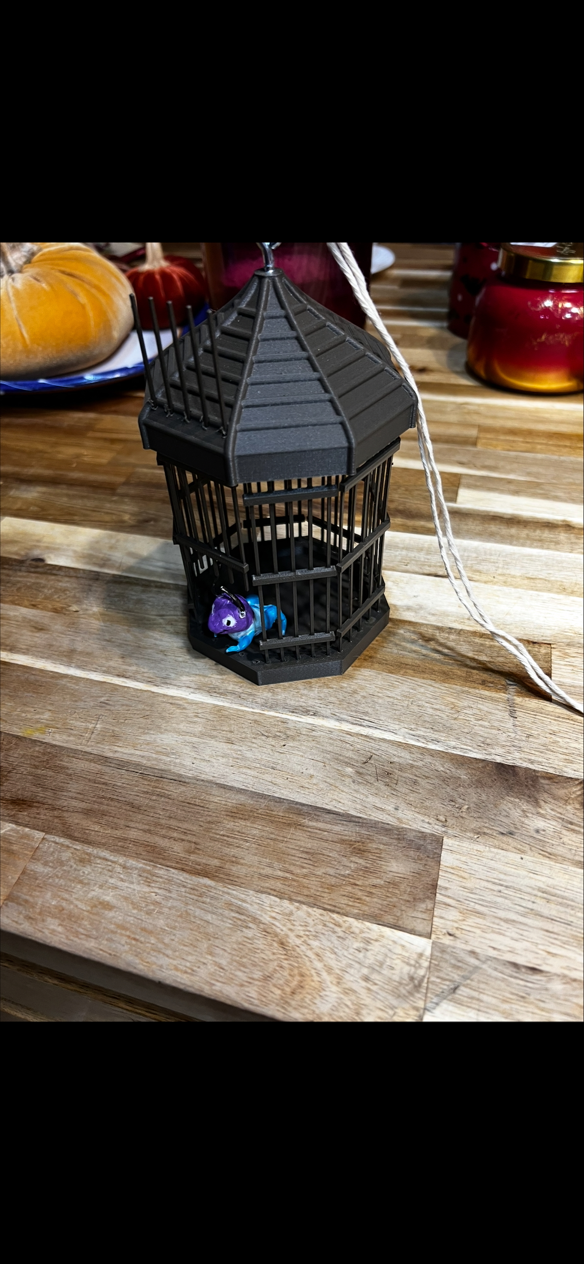 Mulan Style cricket cage