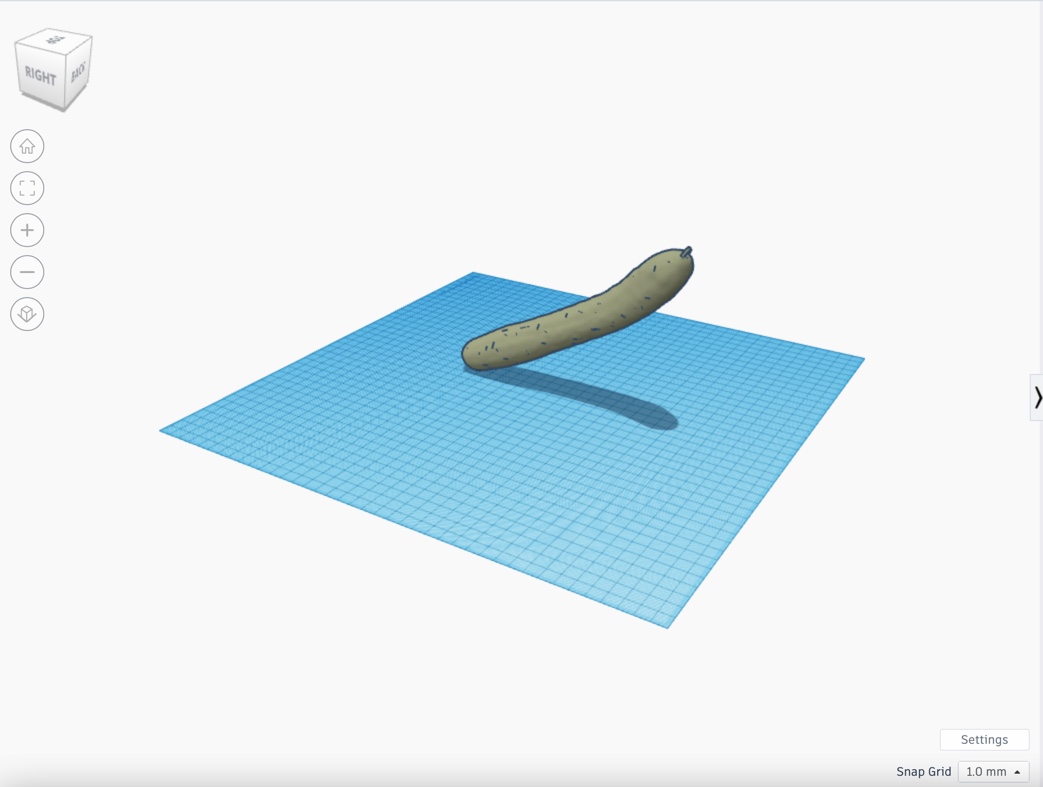 cucumber cat toy by Xstep Download free STL model
