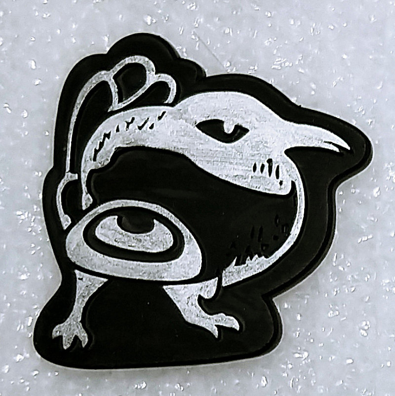 Kiwi Bird Pin