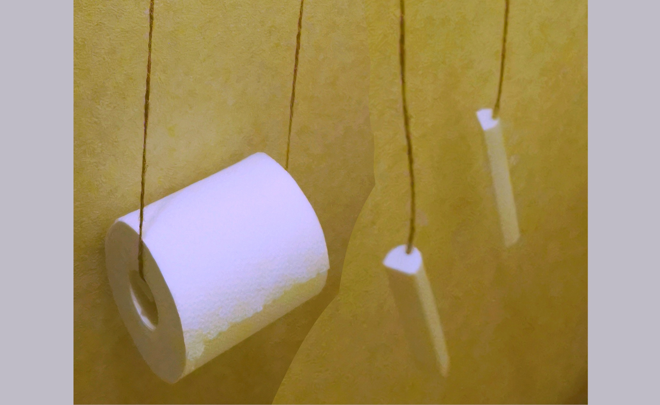 Toilet paper hanger by Mao Hira Download free STL model